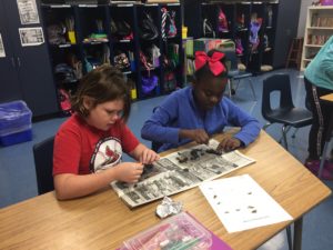 Students dissecting owl pellets