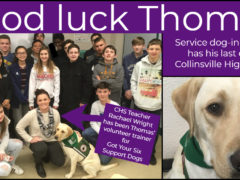 Service Dog Who Attended CHS Prepares to Graduate
